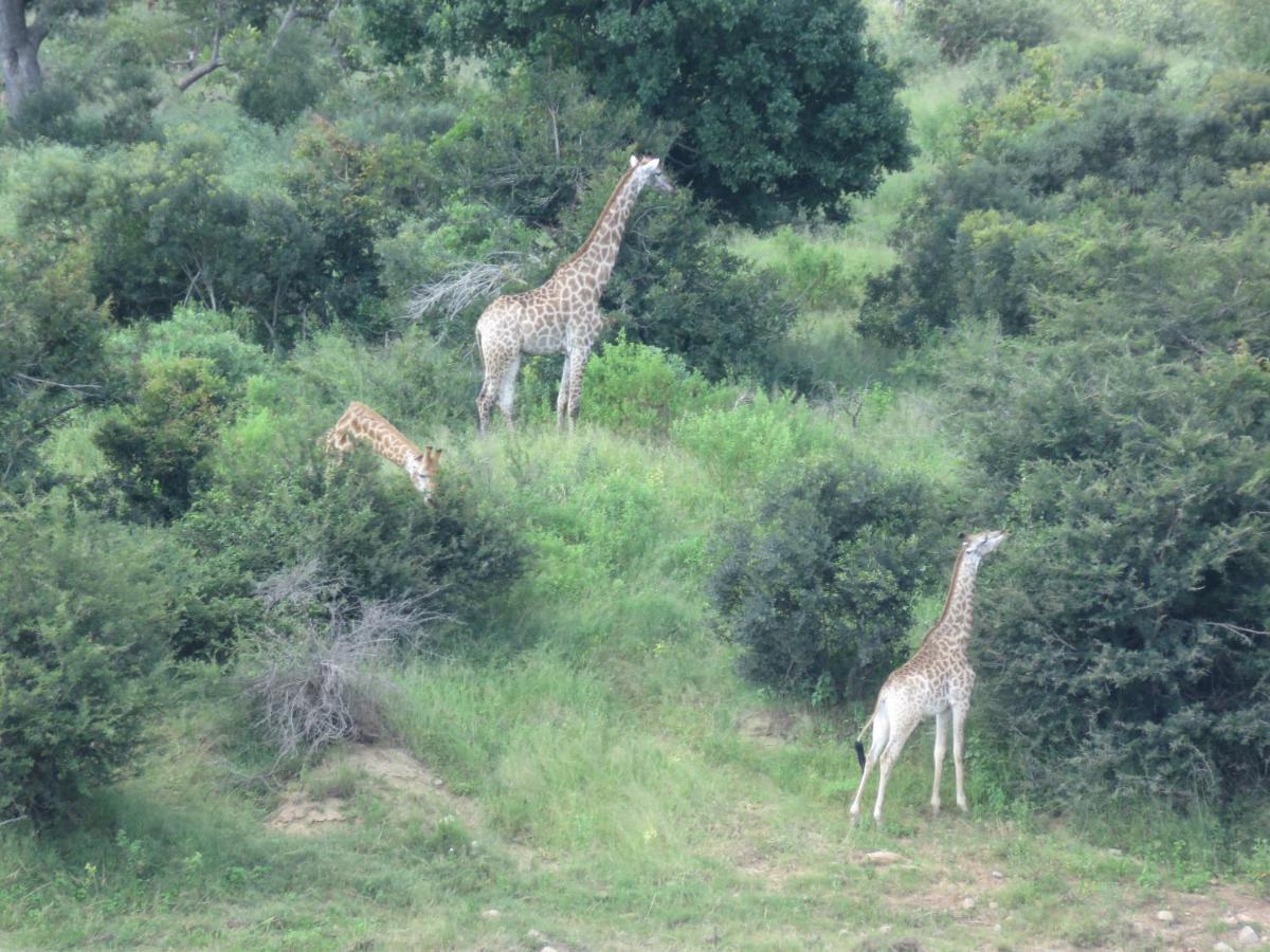 Kruger Private Lodge Marloth Park Buitenkant foto