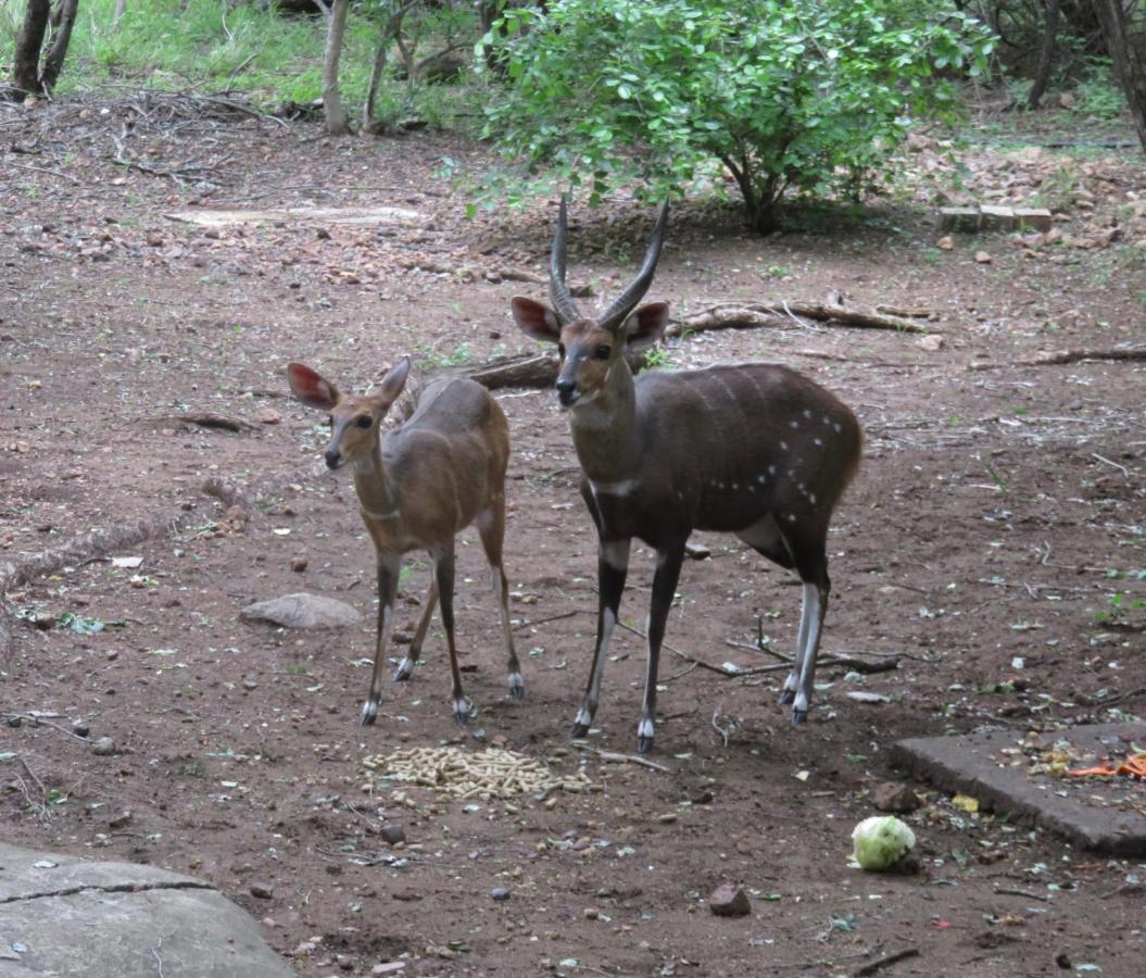 Kruger Private Lodge Marloth Park Buitenkant foto