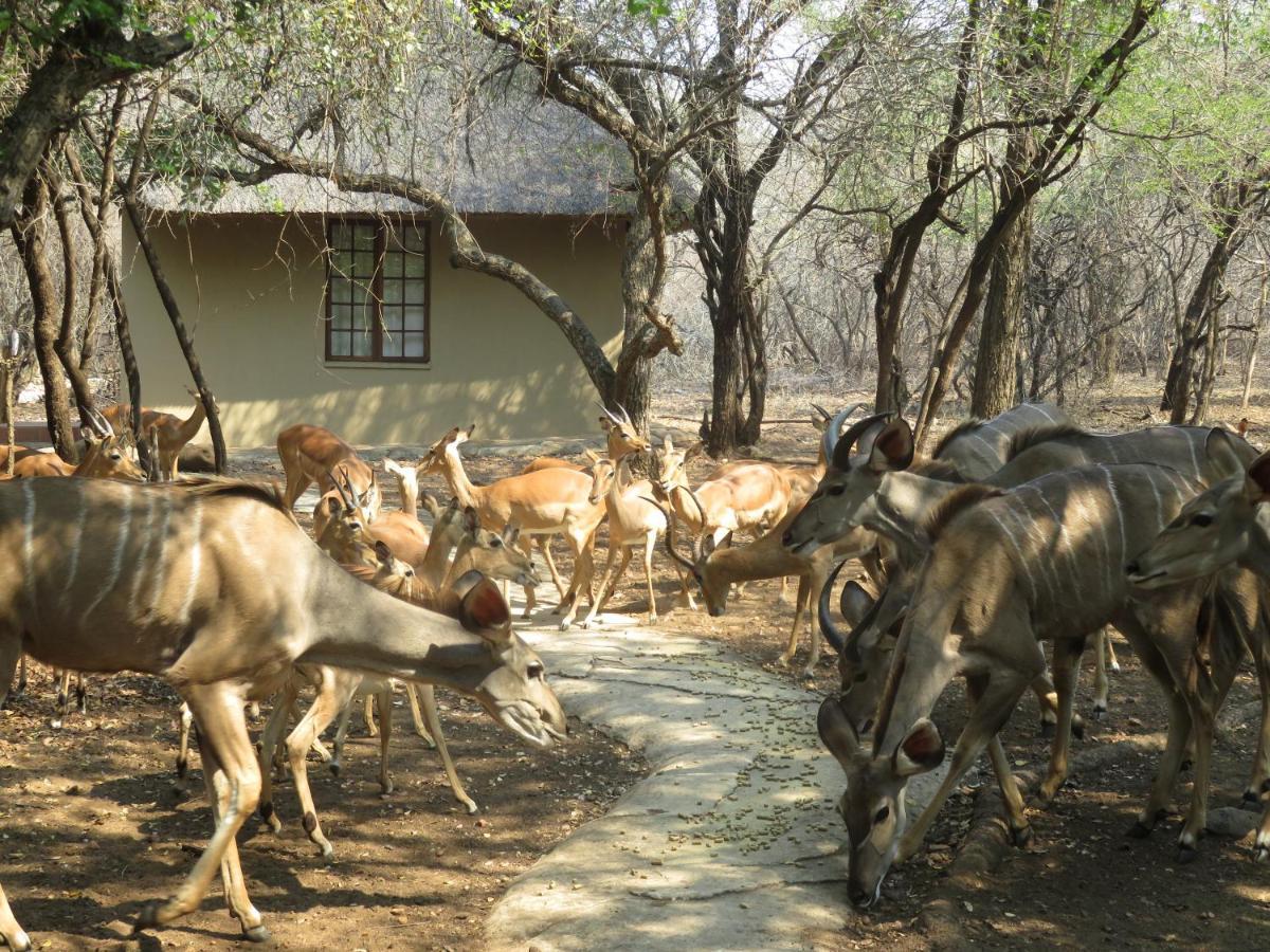 Kruger Private Lodge Marloth Park Buitenkant foto