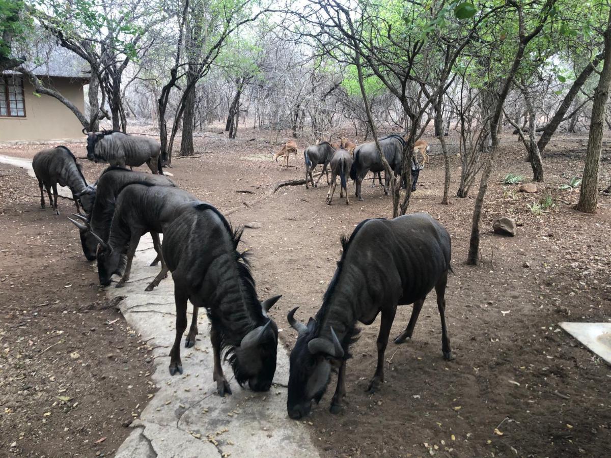 Kruger Private Lodge Marloth Park Buitenkant foto