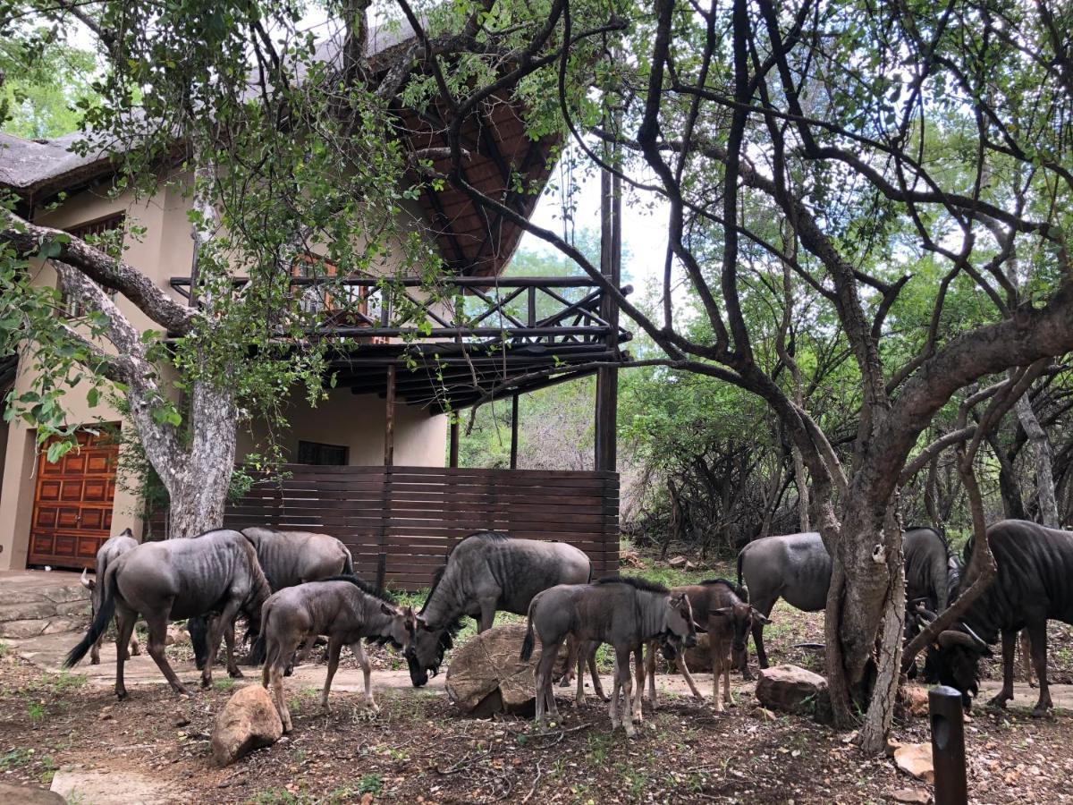 Kruger Private Lodge Marloth Park Buitenkant foto