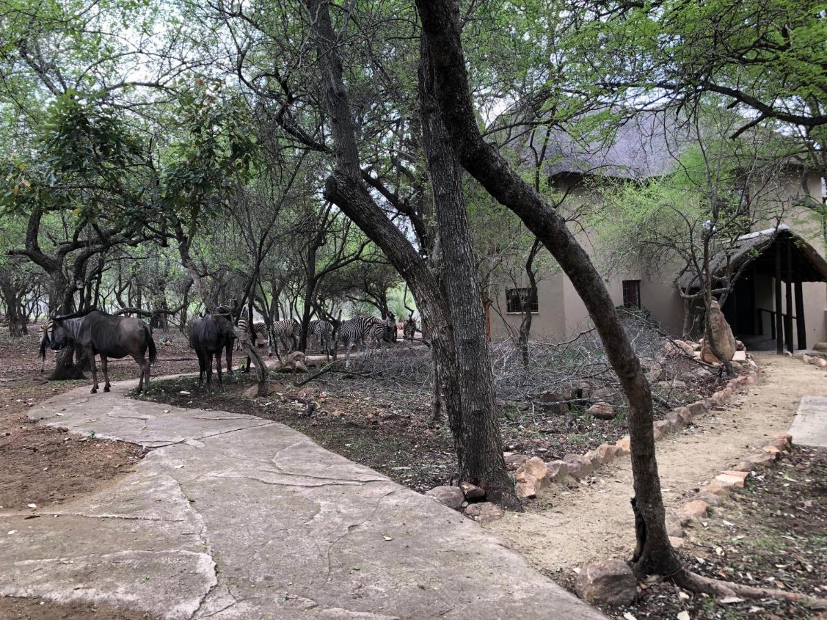 Kruger Private Lodge Marloth Park Buitenkant foto