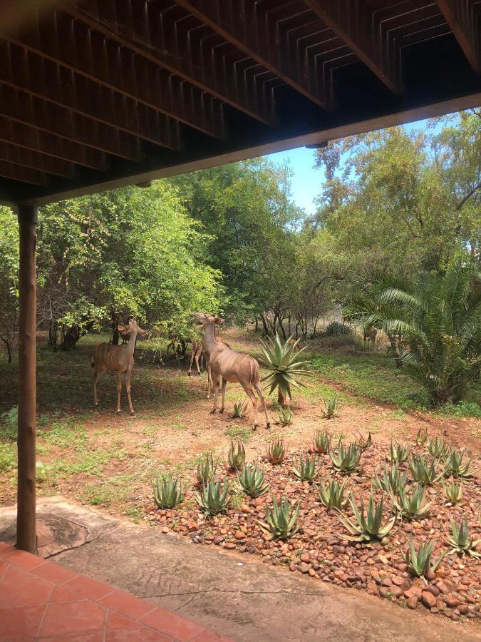 Kruger Private Lodge Marloth Park Buitenkant foto
