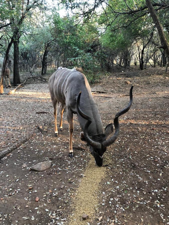 Kruger Private Lodge Marloth Park Buitenkant foto